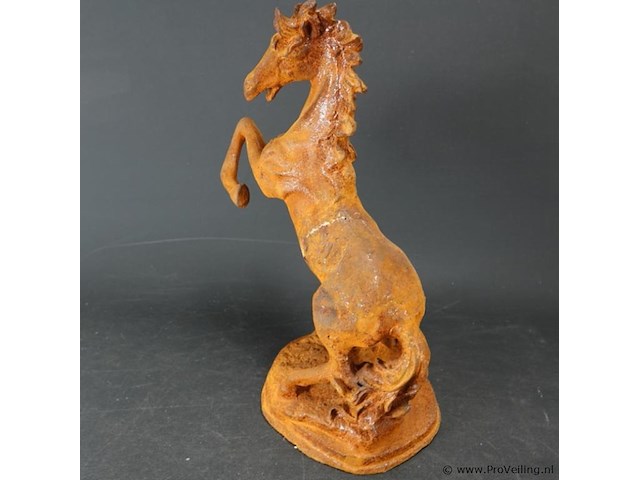 Steigerend ijzeren paard - afbeelding 3 van  5