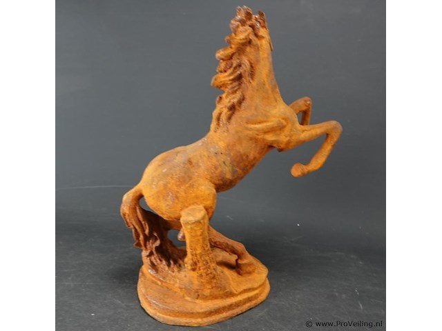 Steigerend ijzeren paard - afbeelding 4 van  5