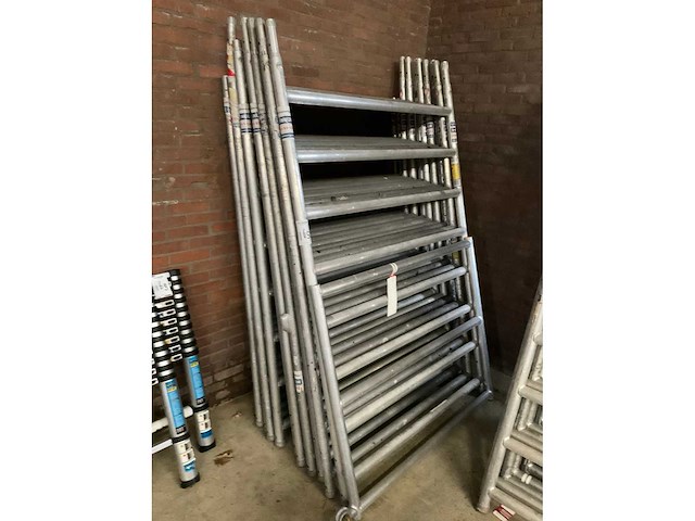 Steigerstaanders (10x) - afbeelding 2 van  3