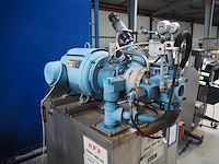 Stein - afbeelding 7 van  10