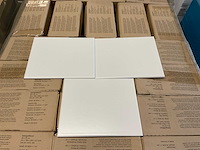 Steingutfliesen wandtegel 20x25 cm ca. 92 m² - afbeelding 1 van  4