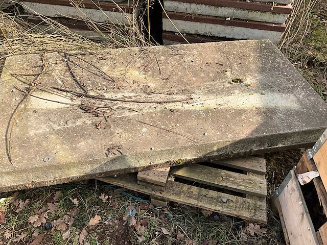Stelcon betonplaat (46x) - afbeelding 3 van  5