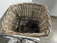 Stella dolce transporter elektrische fiets - afbeelding 9 van  9