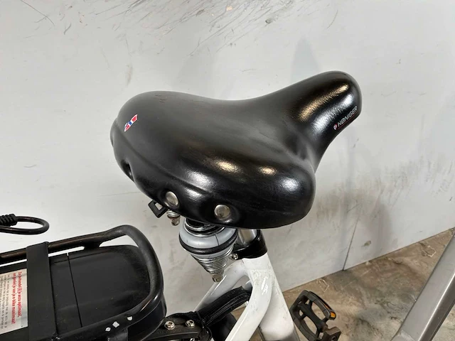 Stella livorno elektrische damesfiets - afbeelding 6 van  7
