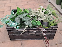 Stelling met inhoud - afbeelding 8 van  8