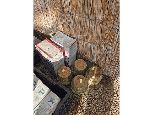 Stelling met zaden - afbeelding 5 van  13