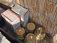 Stelling met zaden - afbeelding 5 van  13