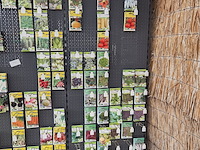 Stelling met zaden - afbeelding 6 van  13