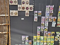 Stelling met zaden - afbeelding 8 van  13