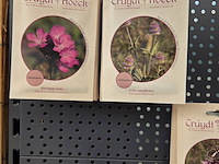 Stelling met zaden - afbeelding 9 van  13