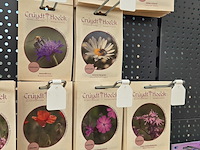 Stelling met zaden - afbeelding 10 van  13