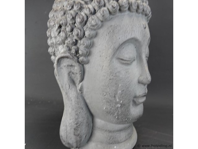Stenen boeddha hoofd - afbeelding 4 van  5