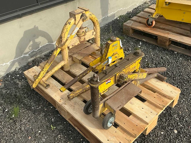 Stenenknipper (3x) - afbeelding 2 van  5