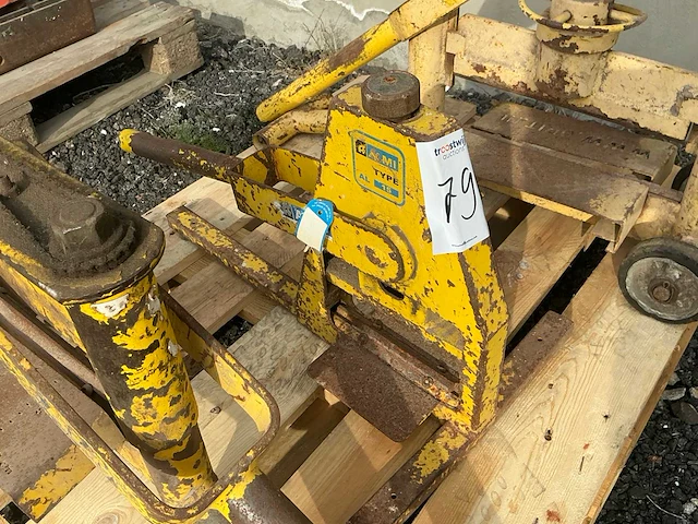 Stenenknipper (3x) - afbeelding 4 van  5