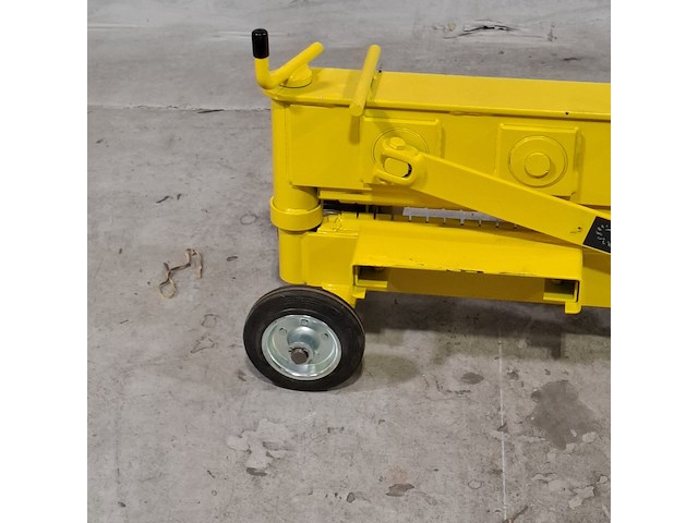 Stenenknipper almi - afbeelding 2 van  8