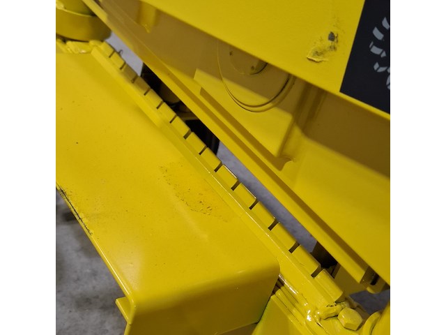 Stenenknipper almi - afbeelding 7 van  8