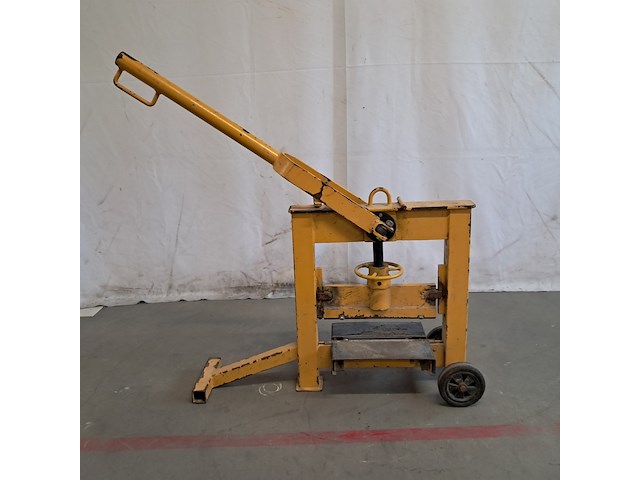 Stenenknipper, geel - afbeelding 1 van  9