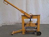 Stenenknipper, geel - afbeelding 1 van  9