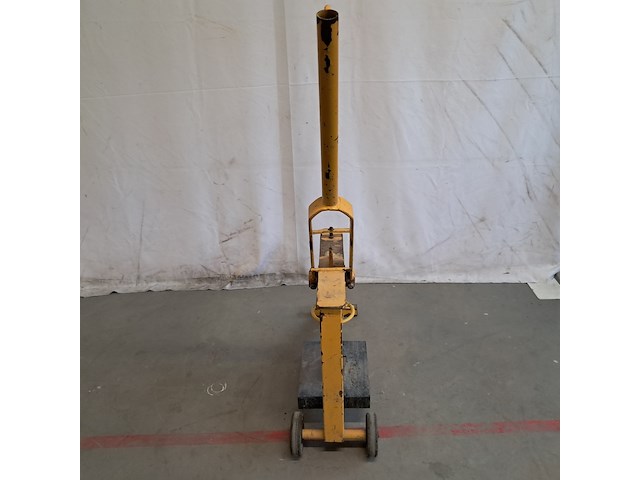 Stenenknipper, geel - afbeelding 2 van  9