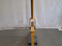 Stenenknipper, geel - afbeelding 2 van  9