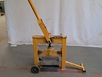 Stenenknipper, geel - afbeelding 3 van  9