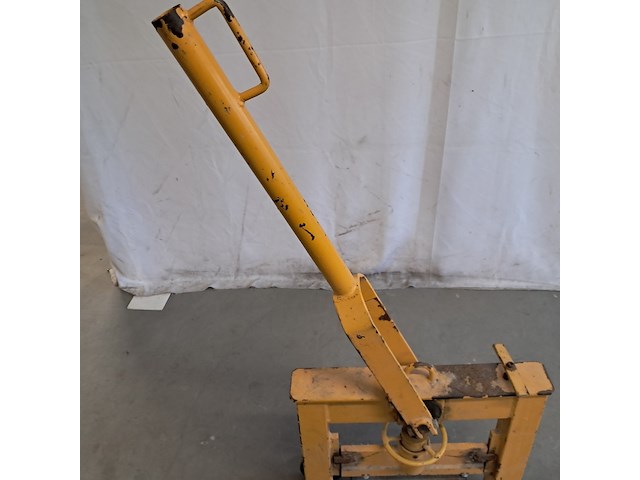 Stenenknipper, geel - afbeelding 4 van  9