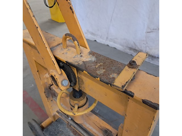 Stenenknipper, geel - afbeelding 5 van  9