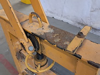 Stenenknipper, geel - afbeelding 5 van  9