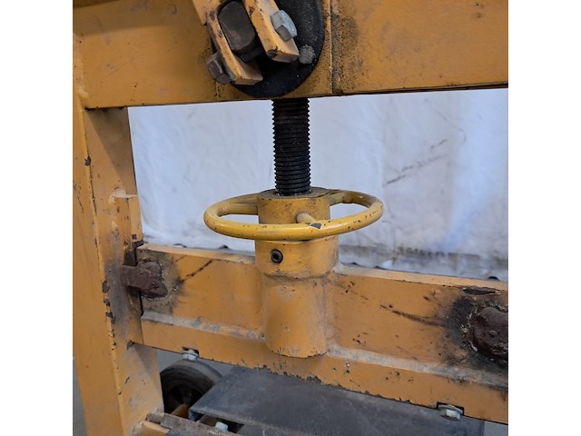Stenenknipper, geel - afbeelding 6 van  9