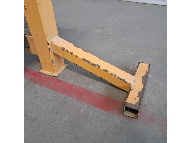 Stenenknipper, geel - afbeelding 8 van  9