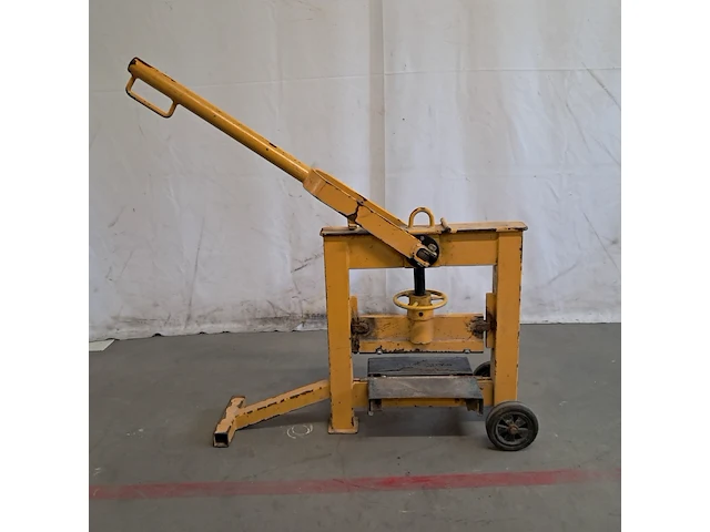 Stenenknipper, geel - afbeelding 1 van  9