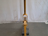 Stenenknipper, geel - afbeelding 2 van  9