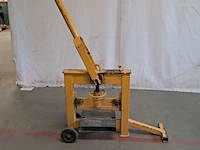 Stenenknipper, geel - afbeelding 3 van  9