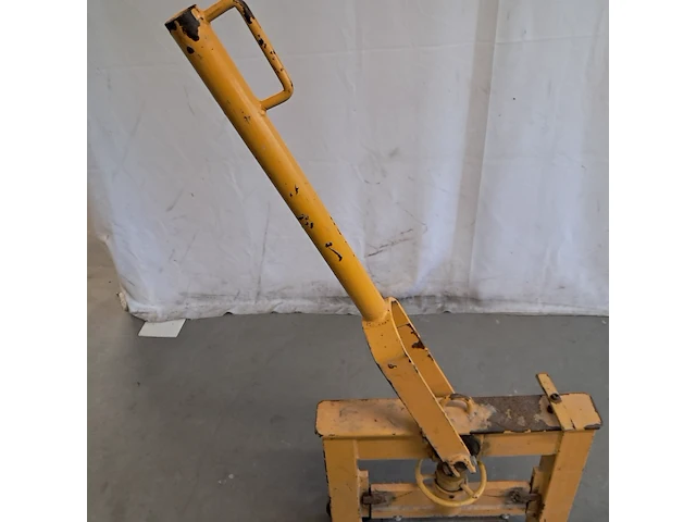 Stenenknipper, geel - afbeelding 4 van  9