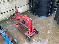 Stenenknipper - afbeelding 2 van  4