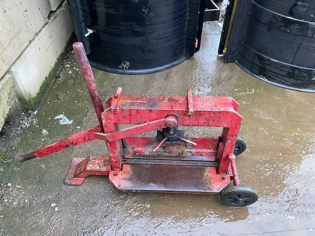 Stenenknipper - afbeelding 3 van  4