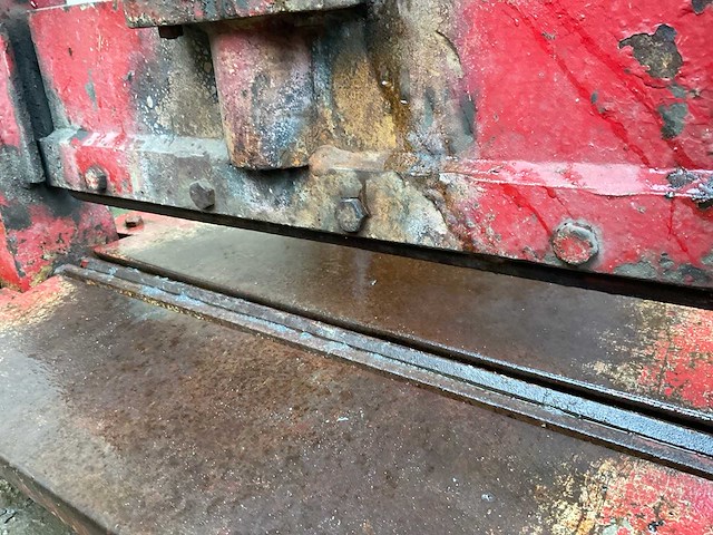 Stenenknipper - afbeelding 4 van  4