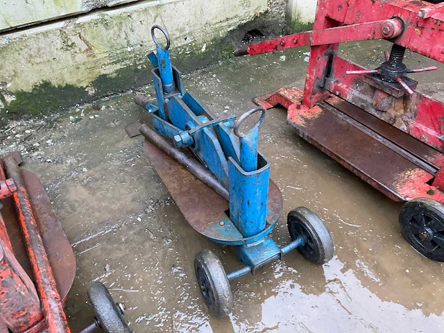 Stenenknipper - afbeelding 2 van  4