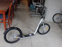 Step uniek met handrem. - afbeelding 1 van  2