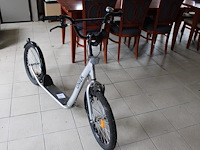 Step uniek met handrem. - afbeelding 2 van  2