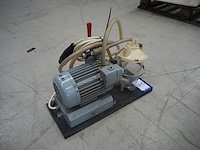 Stephan - afbeelding 4 van  16