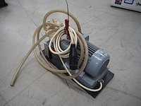 Stephan - afbeelding 5 van  16