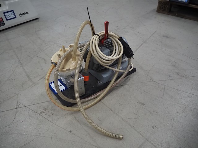 Stephan - afbeelding 6 van  16