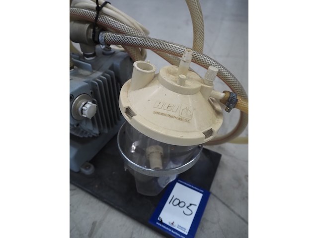 Stephan - afbeelding 7 van  16