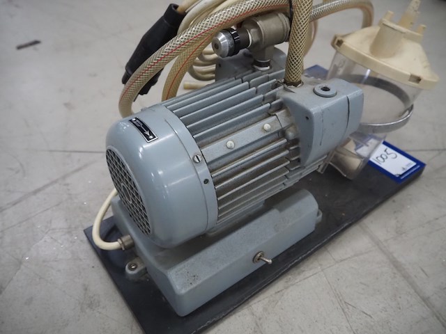 Stephan - afbeelding 8 van  16