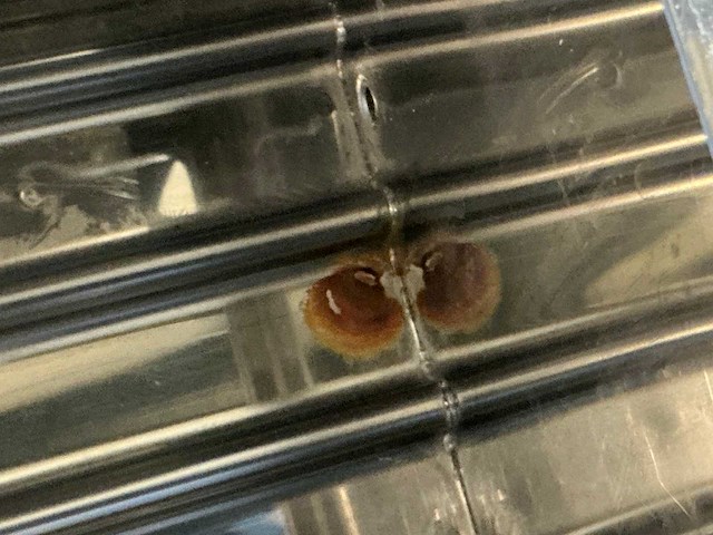 Sterilisatie apparaat - afbeelding 12 van  13