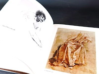 Sterk schröder schilder en tekenaar - afbeelding 4 van  5