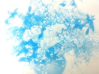 Stilleven in wissellijst - afbeelding 3 van  5