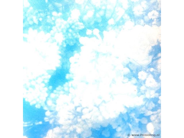 Stilleven in wissellijst - afbeelding 4 van  5