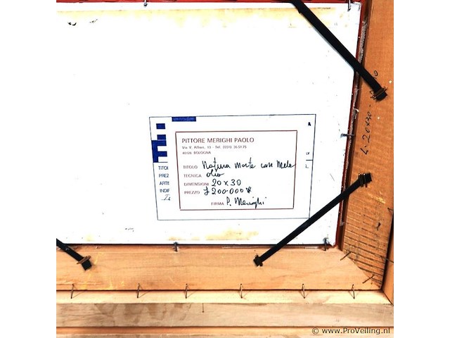 Stilleven - afbeelding 5 van  5